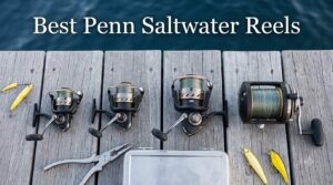Best Penn Saltwater Reels