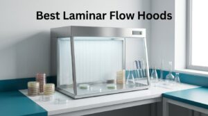 Best Laminar Flow Hoods