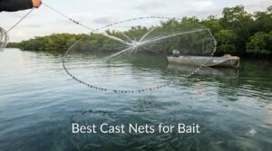 Best Cast Nets for Bait