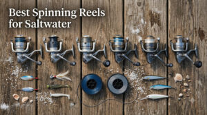 Best Spinning Reels for Saltwater