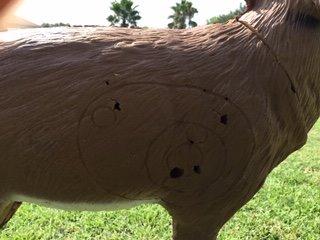 Delta McKenzieArchery Target customer photo 1