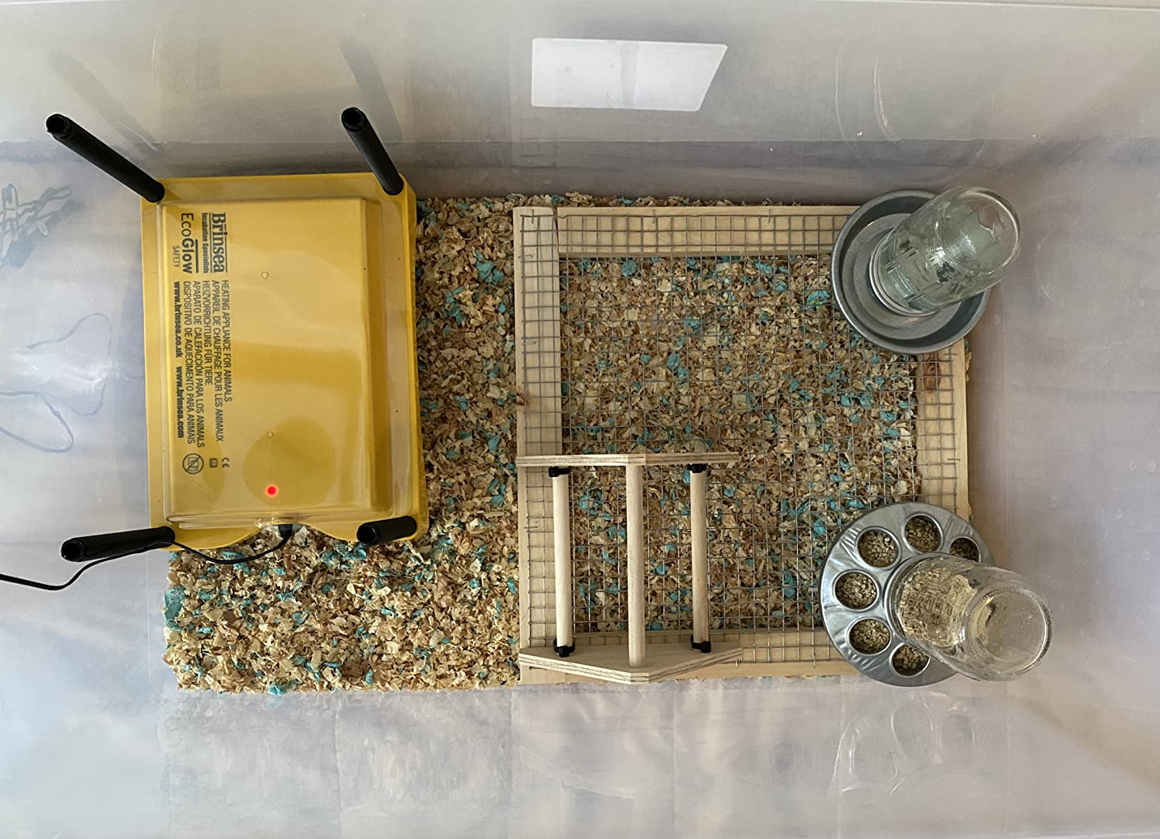 Baby Chick Feeder Base - Little Giant - Metal Feeder Base Jar, Standard 1 Quart (Item No. 9810) customer photo 2