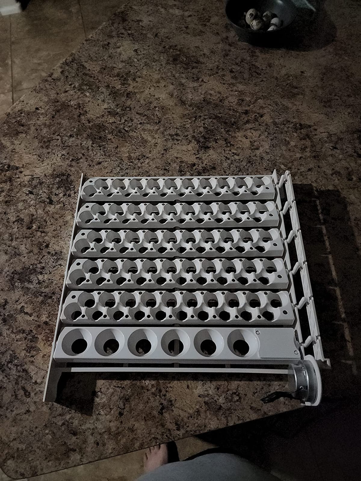 Little Giant® Quail Rails | 120 Eggs | Turner Equipment for Incubating Small Eggs | Quail Egg Incubator customer photo 2