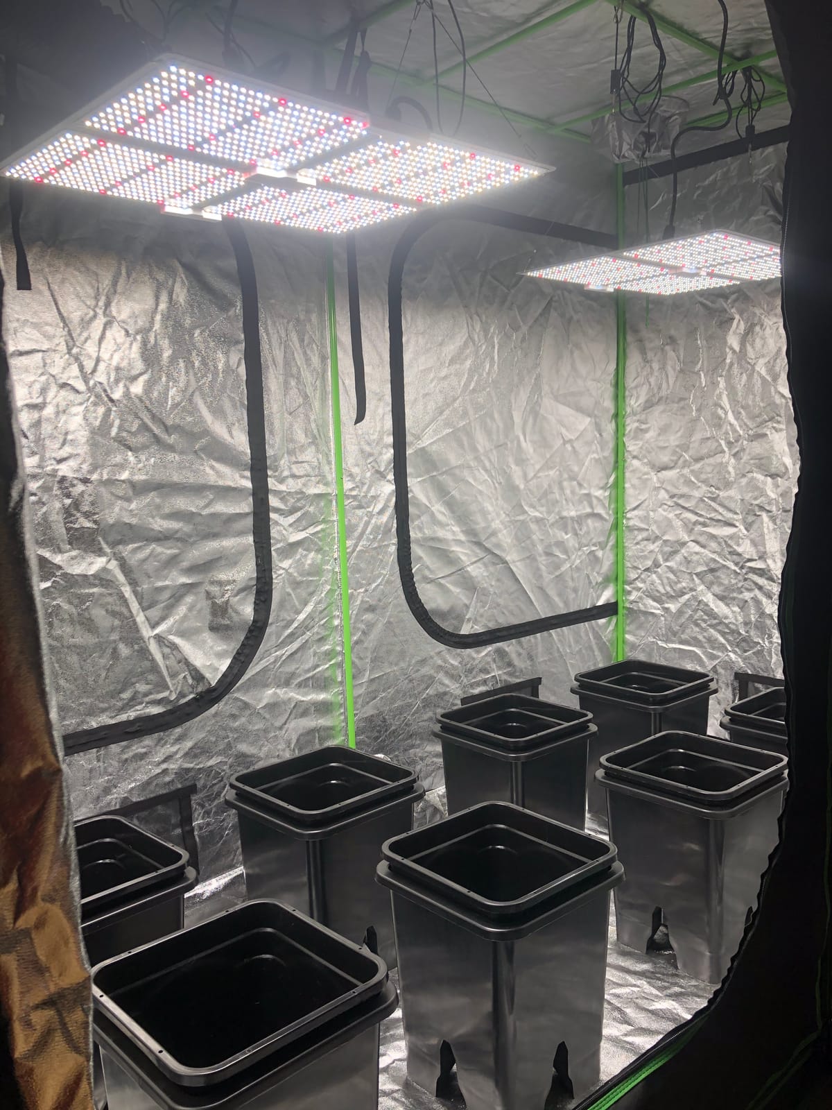 Active Aqua Ebb System - Electric Hydroponic - 7 Gal - Plastic customer photo 2
