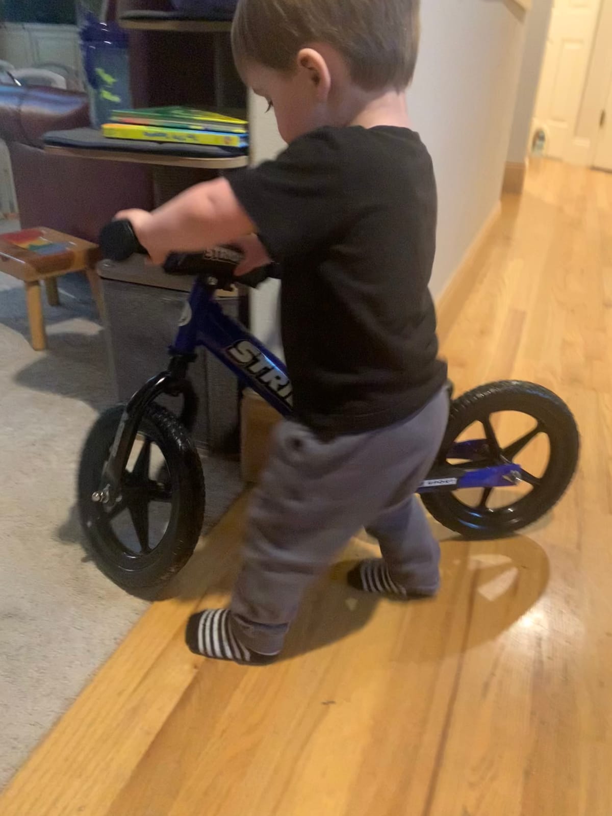 Strider 12 Sport, No Pedal Balance Bike for Kids Ages 1–4 Years, Blue customer photo 2