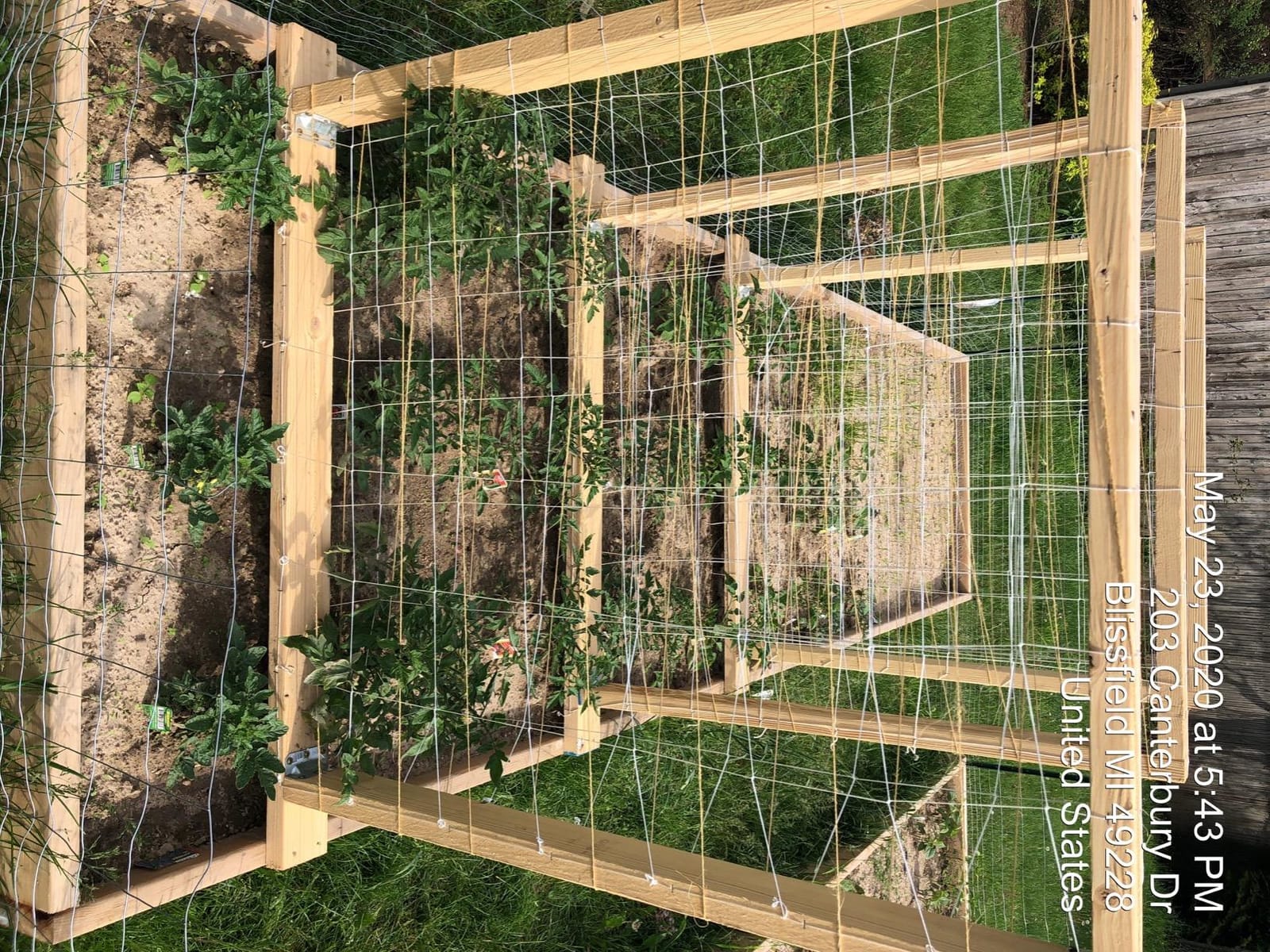 VIVOSUN Trellis Netting Heavy-duty Polyester 5'x30' 1 Pack customer photo 1