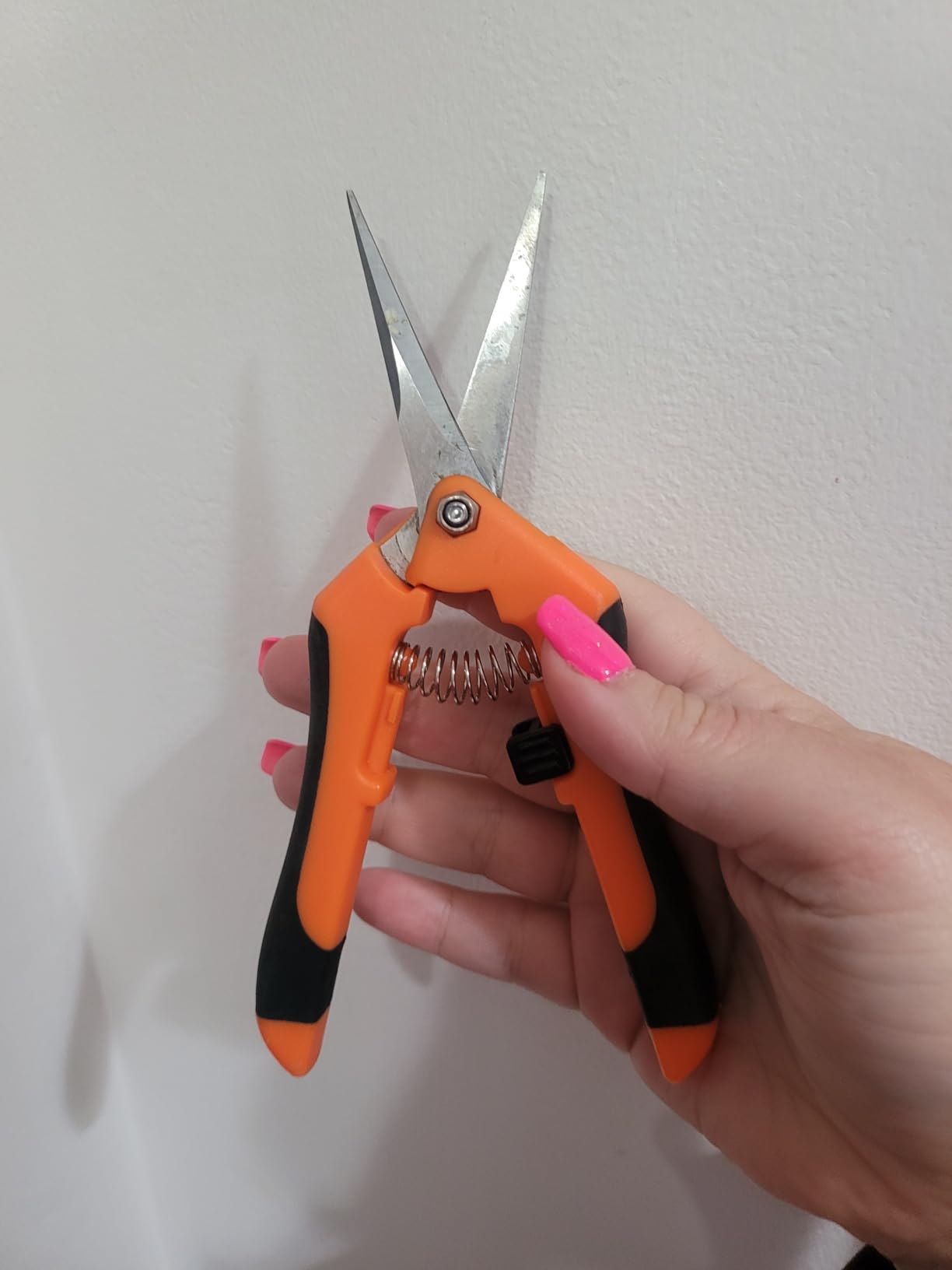 VIVOSUN 6.5 Inch Gardening Scissors Hand Pruner Pruning Shear with Straight Stainless Steel Blades Orange 1-Pack customer photo 2