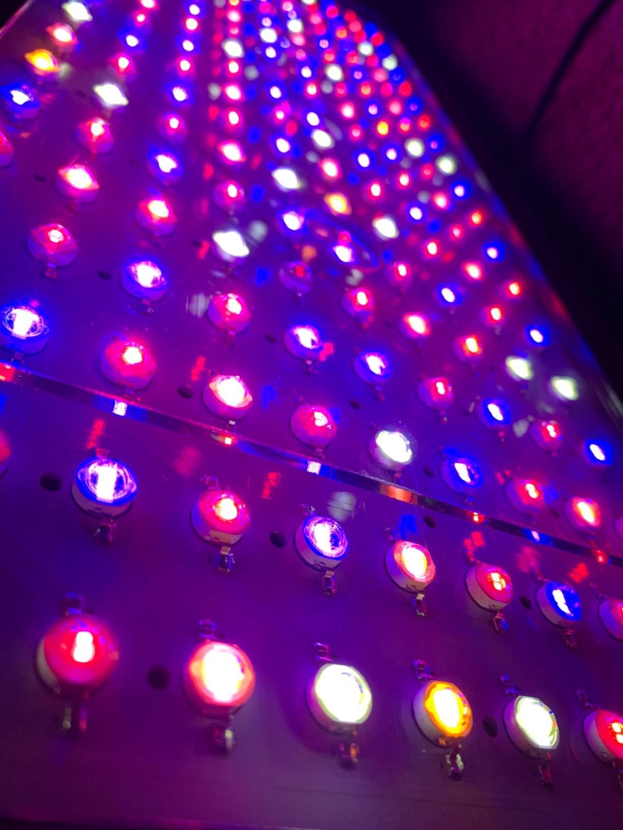 BESTVA DC2000 High-Yield Indoor Plant Grow Light, Fits 3x3/3x4/3x5 ft Tents customer photo 1