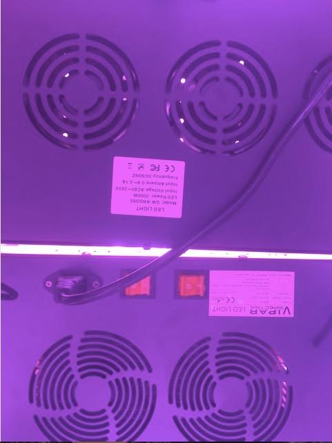 BESTVA DC2000 High-Yield Indoor Plant Grow Light, Fits 3x3/3x4/3x5 ft Tents customer photo 2