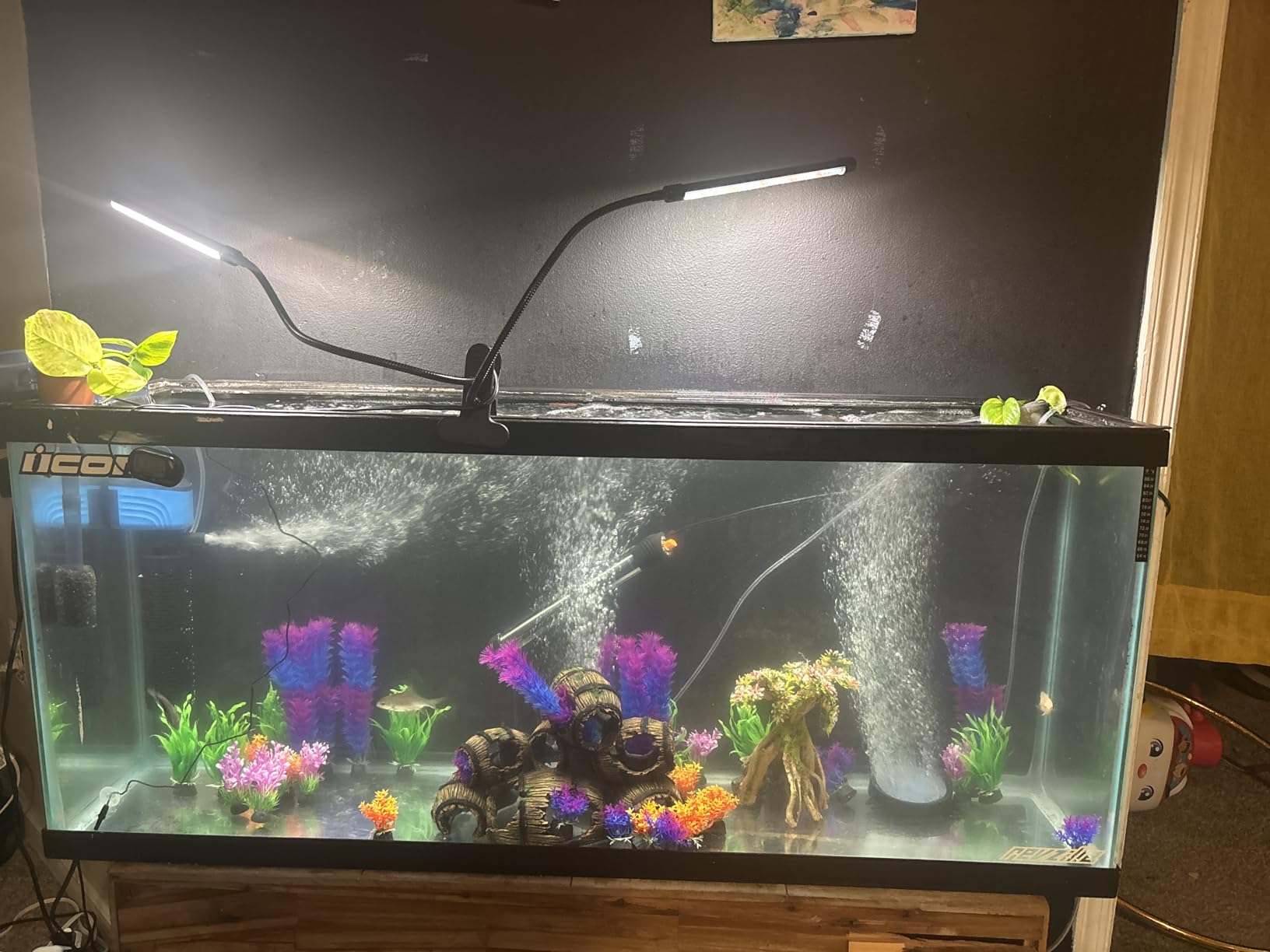 VIVOSUN Air Stone Disc 8 in with Shell and Sucker for Aquarium, Air Pump customer photo 1