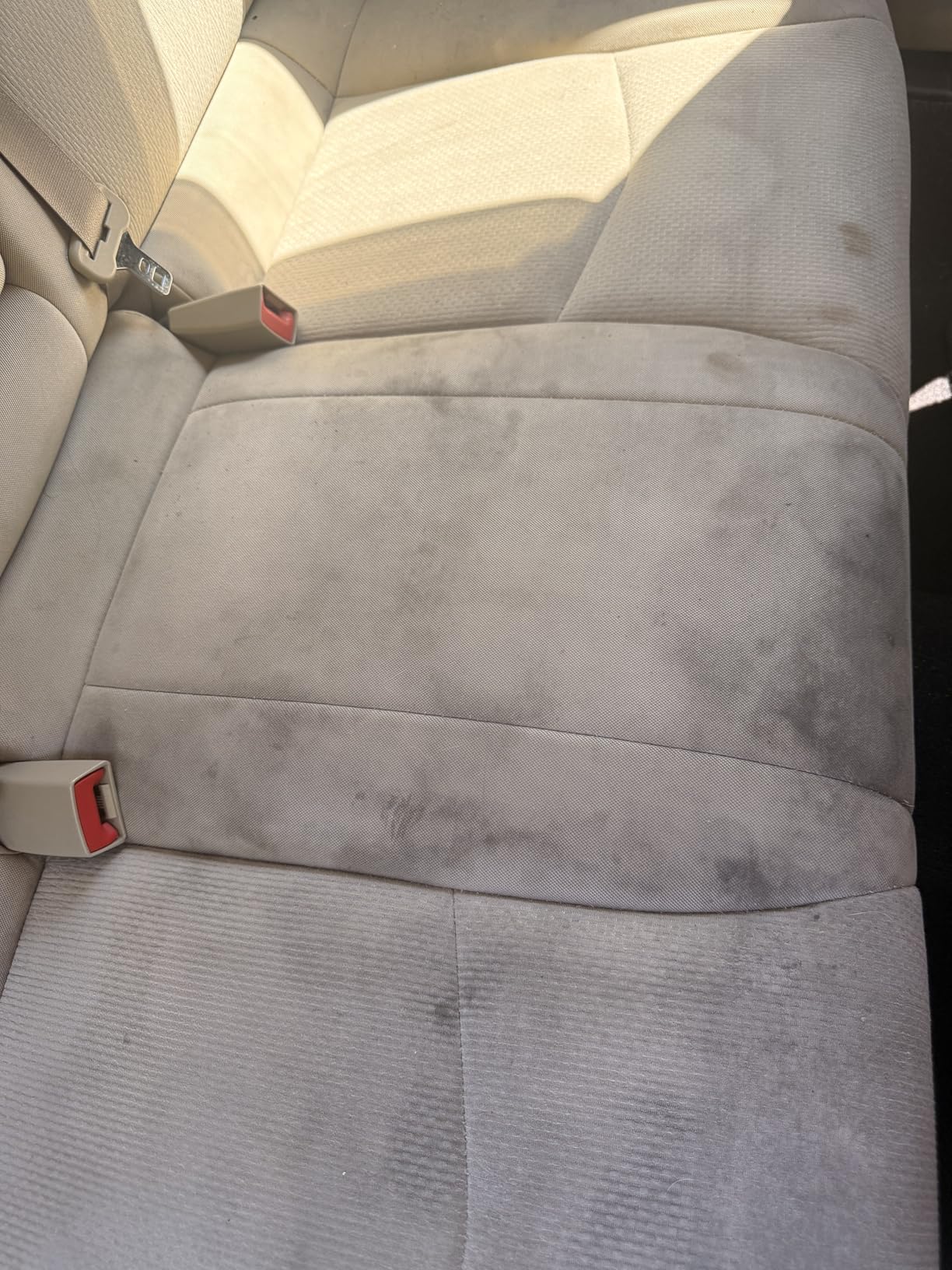 CarGuys Interior Car Cleaner for Tough Stains | Stain Remover for Car Seats, Carpet, Upholstery, & Leather | 18 Oz Kit with Microfiber Towel customer photo 1