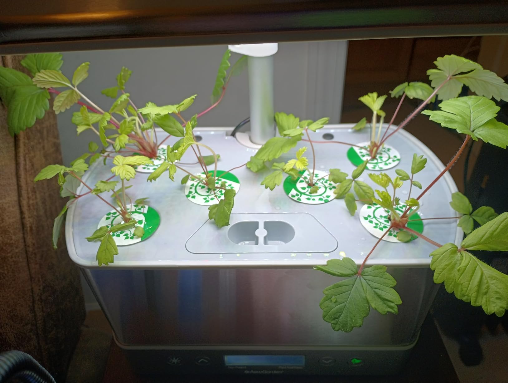 AeroGarden Harvest Elite, Stainless Steel customer photo 1