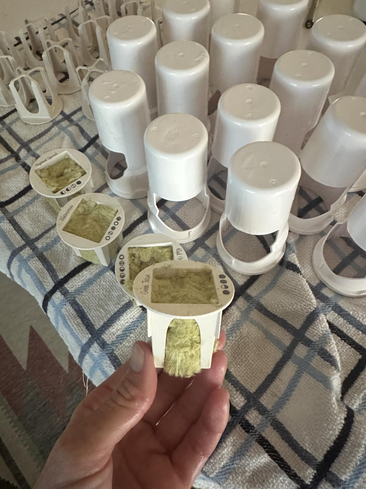 1.5 inch Rockwool/Stonewool Grow Cubes Starter Sheets for Cuttings, Cloning, Plant Propagation, Seed Starting Hydroponic Grow Media Growing Medium for Vigorous Plant Growth (28, 1.5) customer photo 2