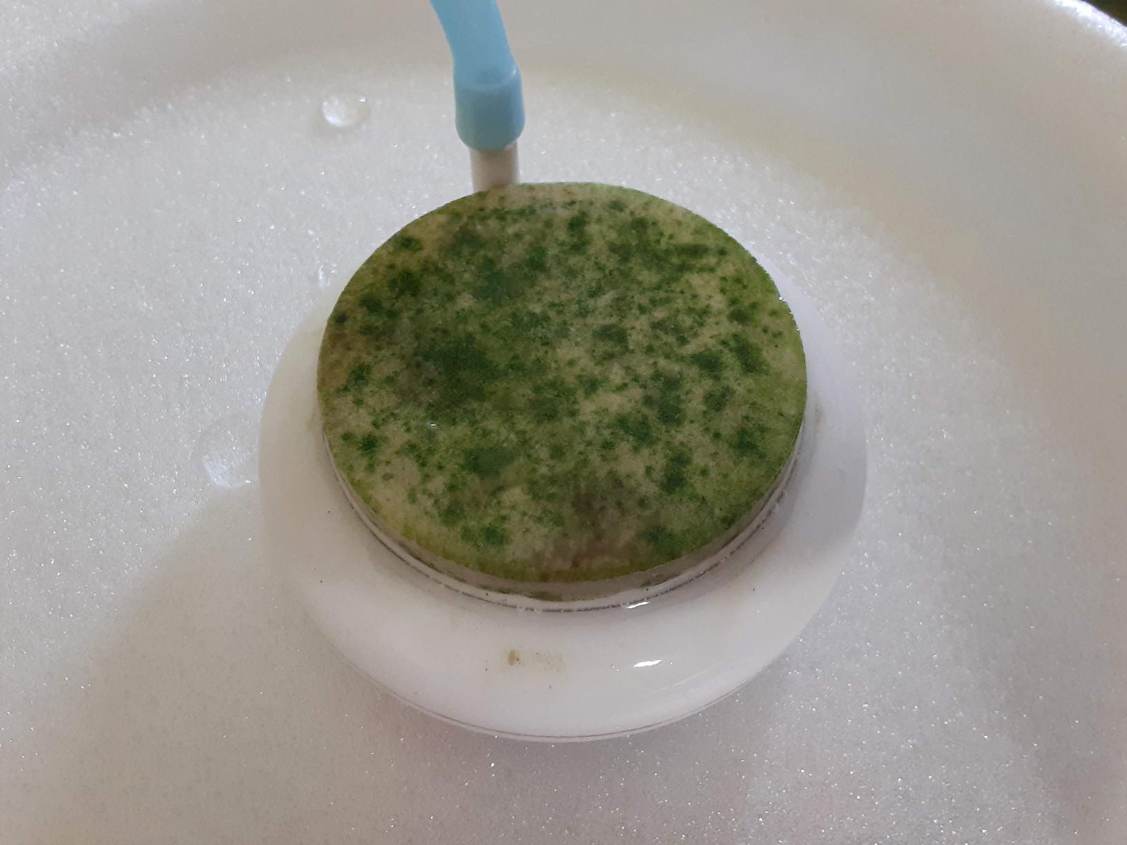 hygger Aquarium Air Stone Kit, Fish Tank Bubbler, Nano Furnace Flue Round Air Stone Disk Set for Hydroponics, Small Bubbles, Ultra-High Dissolved Oxygen Diffuser (4 Inch) customer photo 2
