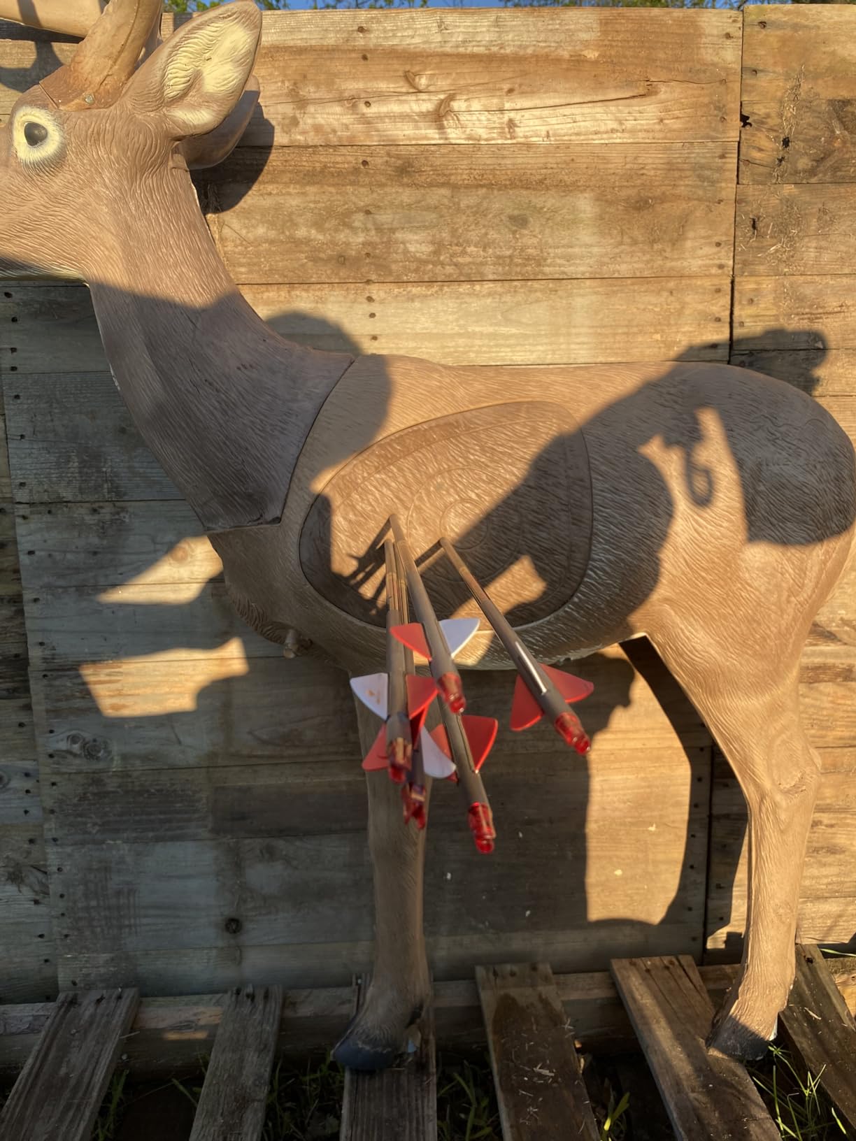 Rinehart Woodland Jimmy Big Tine Target customer photo 1