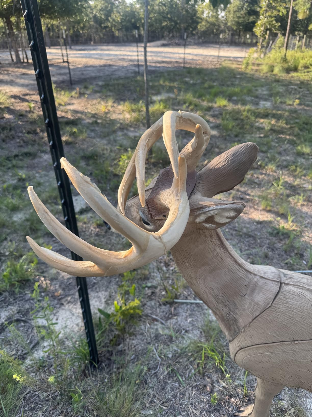Rinehart Woodland Jimmy Big Tine Target customer photo 2