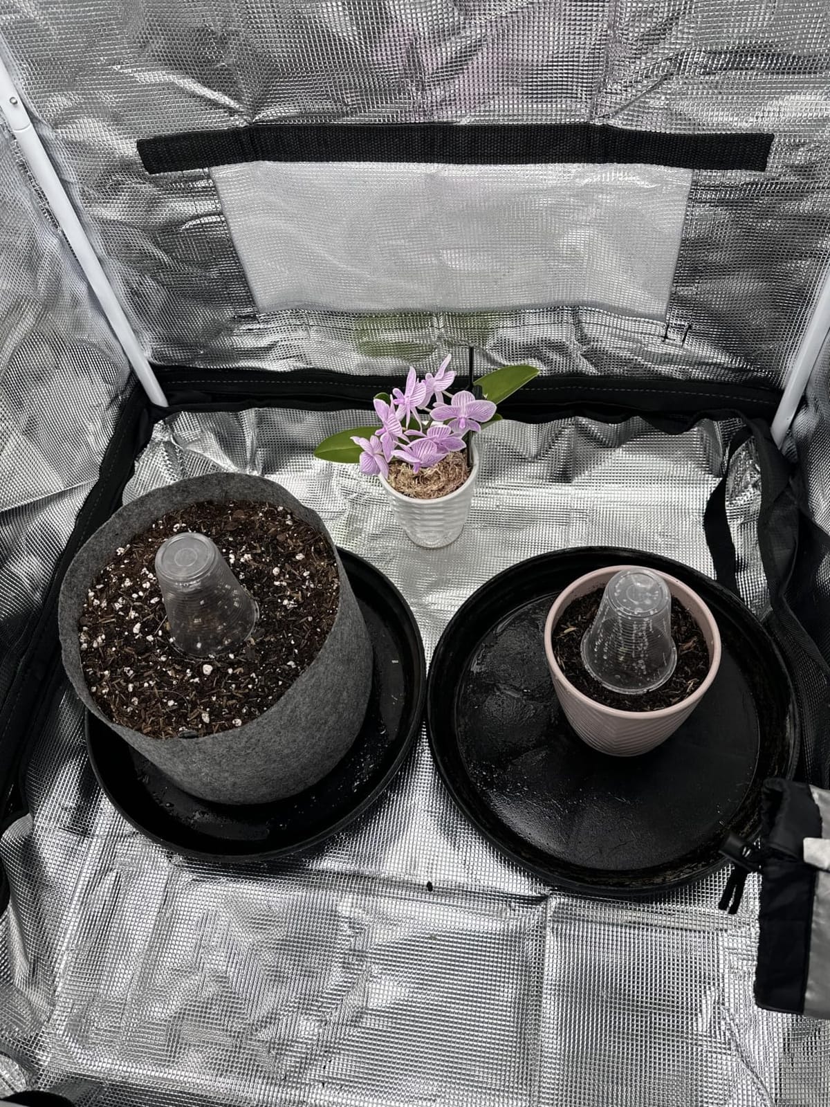4x8 Grow Tent, 96