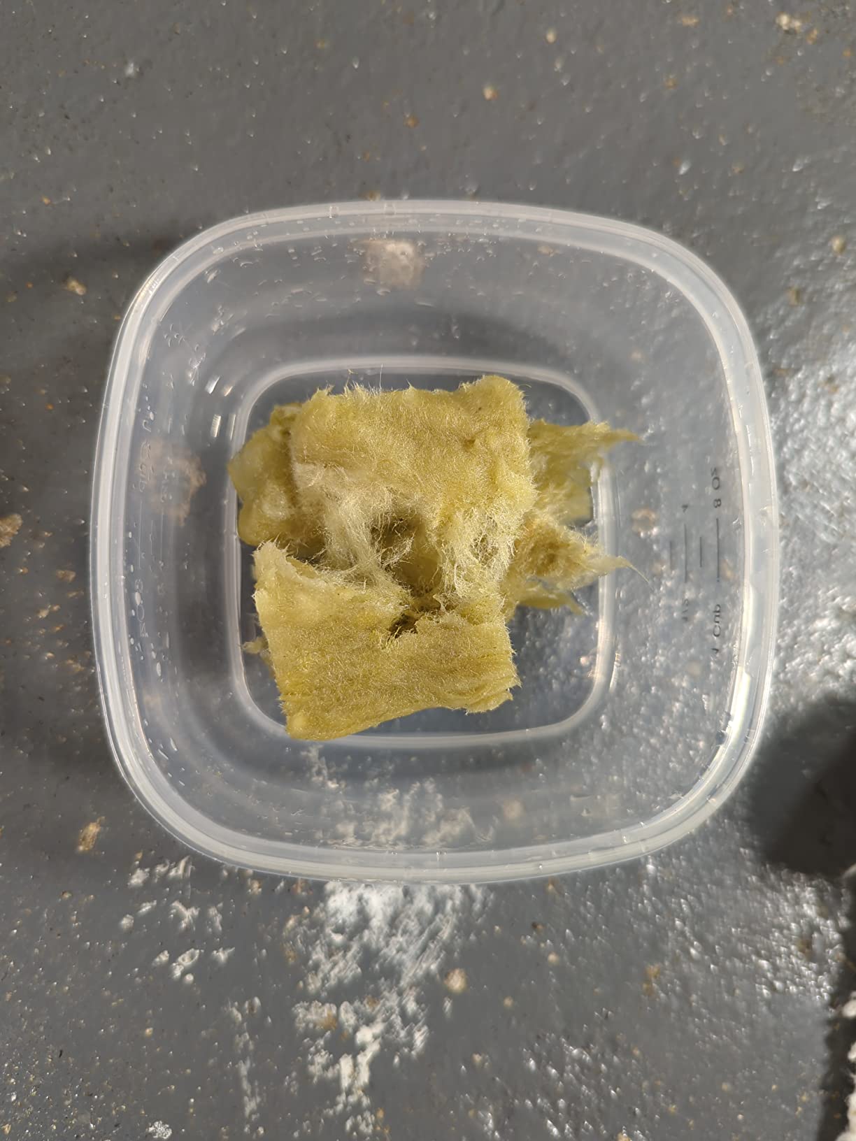 MI0512 1.5” Rockwool Starter Plugs for Hydroponics, Rockwool Grow Cubes, 1 Sheets of 28 Plugs (Small) customer photo 2