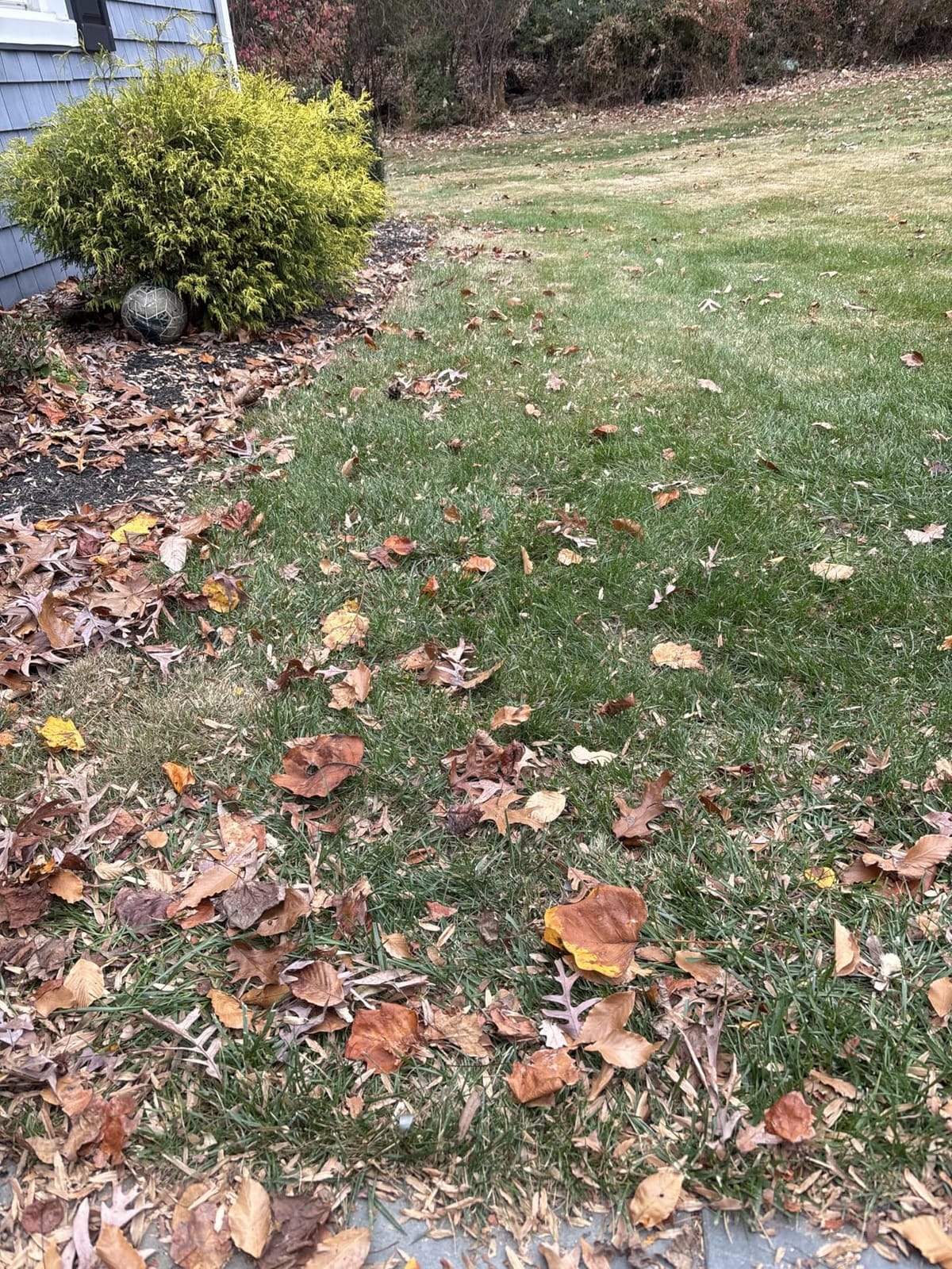 Gardena Manual Lawn and Leaf Collector Sweeper, Large Bag - 03565 customer photo 2