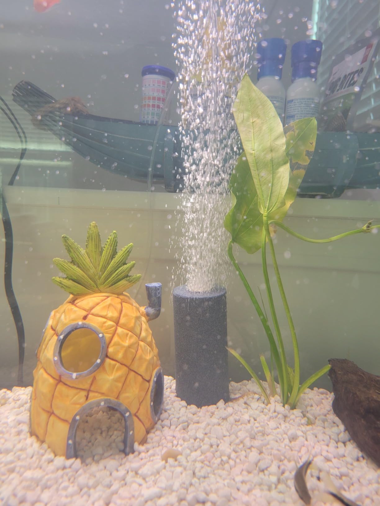 AQUANEAT Aquarium Air Stone 4x2 inch 2 Pack, Large Airstone, Aerator Bubble Diffuser, Air Pump Accessories for Aquariums, Hydroponic, Ponds and Fish Tanks customer photo 1