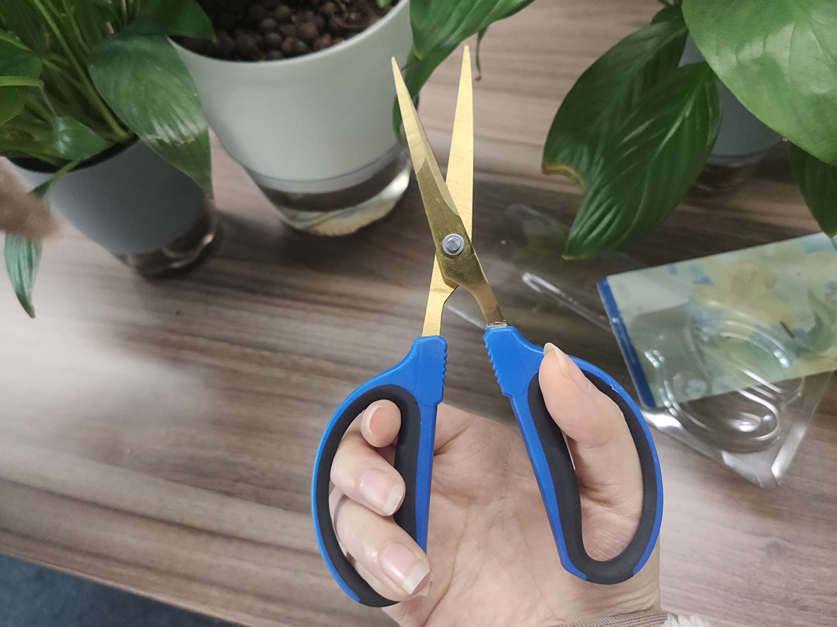 Plant scissors 60mm Gardening Shears (Titanium plated coating Bonsai Scissors) Practical and Light Pruning Shear,plant shears pruning indoor & outdoor customer photo 1