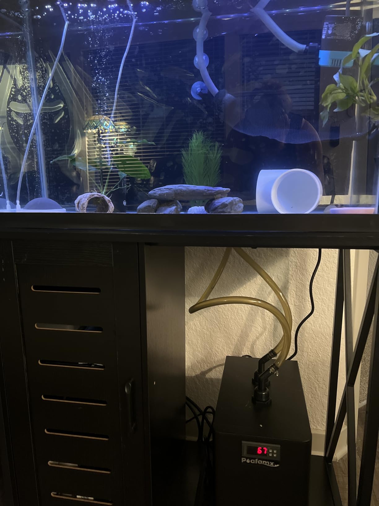 Poafamx 42gal Aquarium Chiller 1/10 HP Ultra Quiet Compressor Water Chiller customer photo 2