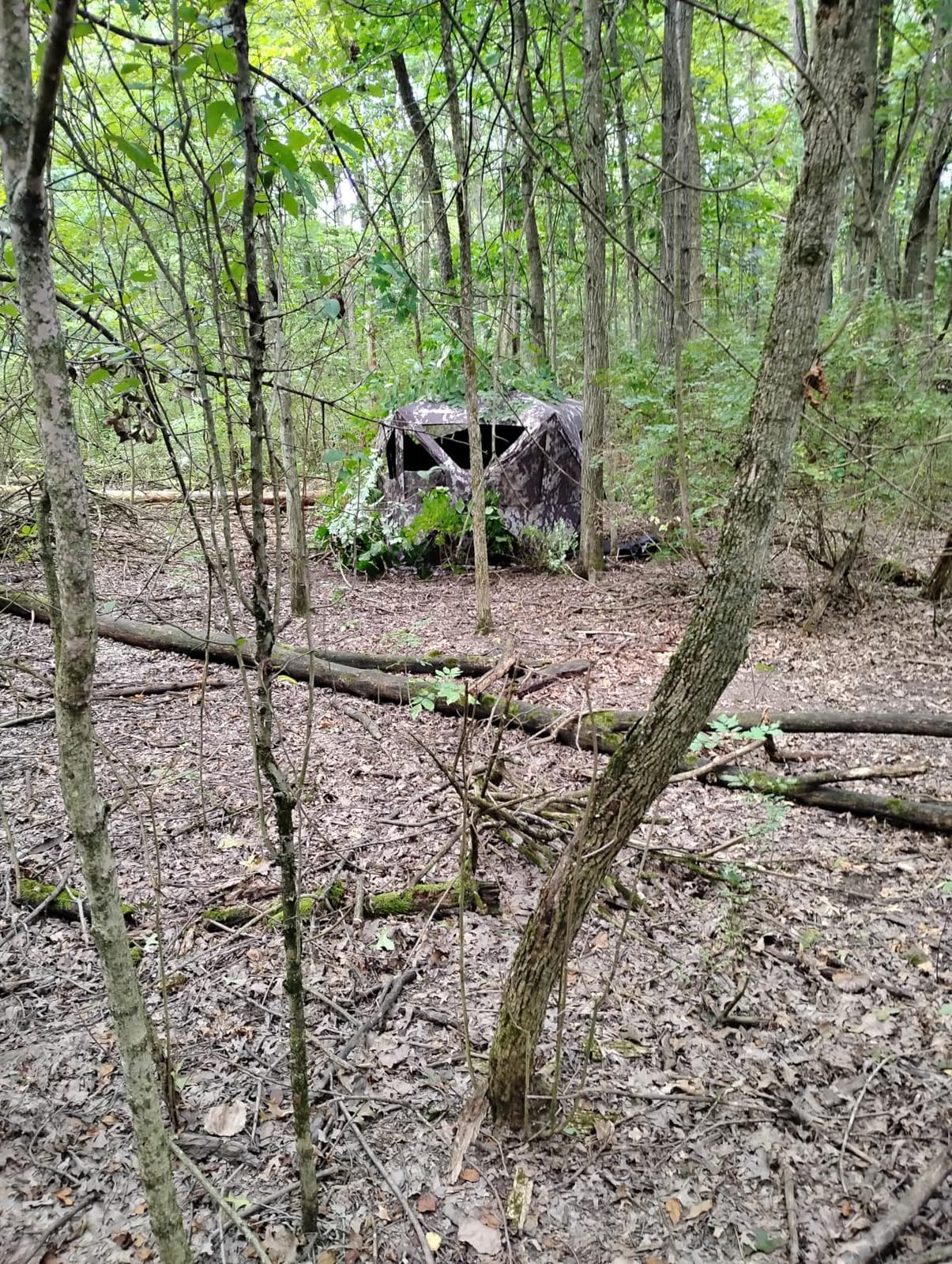 Barronett BlindsPENTAGON Hunting HUB Blind customer photo 1
