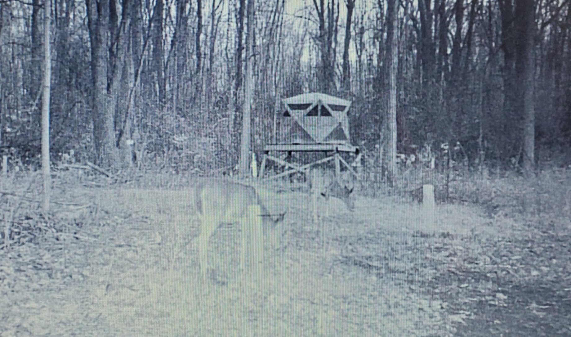 Barronett BlindsPENTAGON Hunting HUB Blind customer photo 2