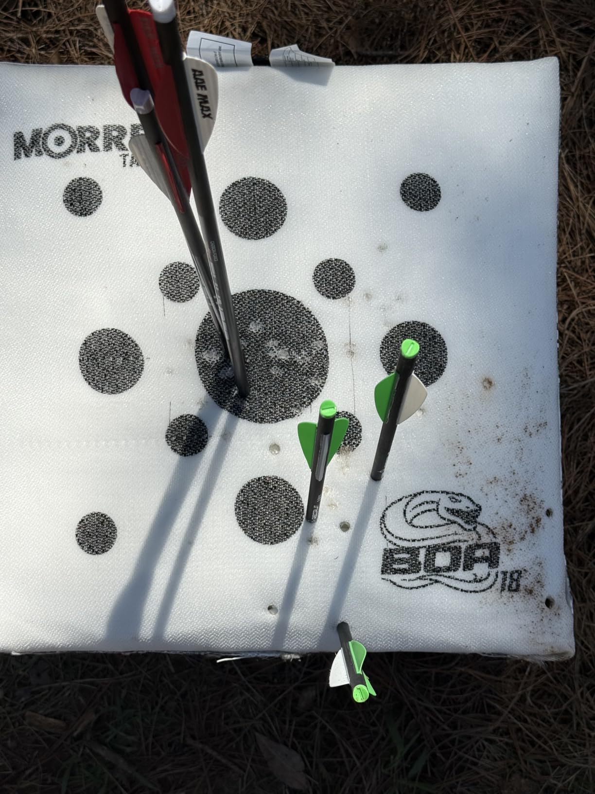 Crossbow Bolts Carbon Arrows 16 18 20 22 Inch Hunting Archery Bio Crossbow Arrows with Moon Nocks 100 Grain Removable Tips (Pack of 12) customer photo 1
