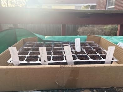 MIXC 5 Pack Seed Starter Tray, 200Cell Mini Propagator Greenhouse Grow Kit customer photo 2