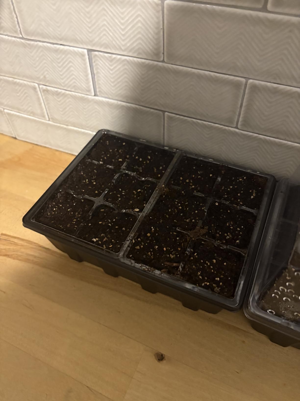 Gardzen 3 Pack Seed Starter Trays with Adjustable Vented Dome 36 Cell customer photo 1