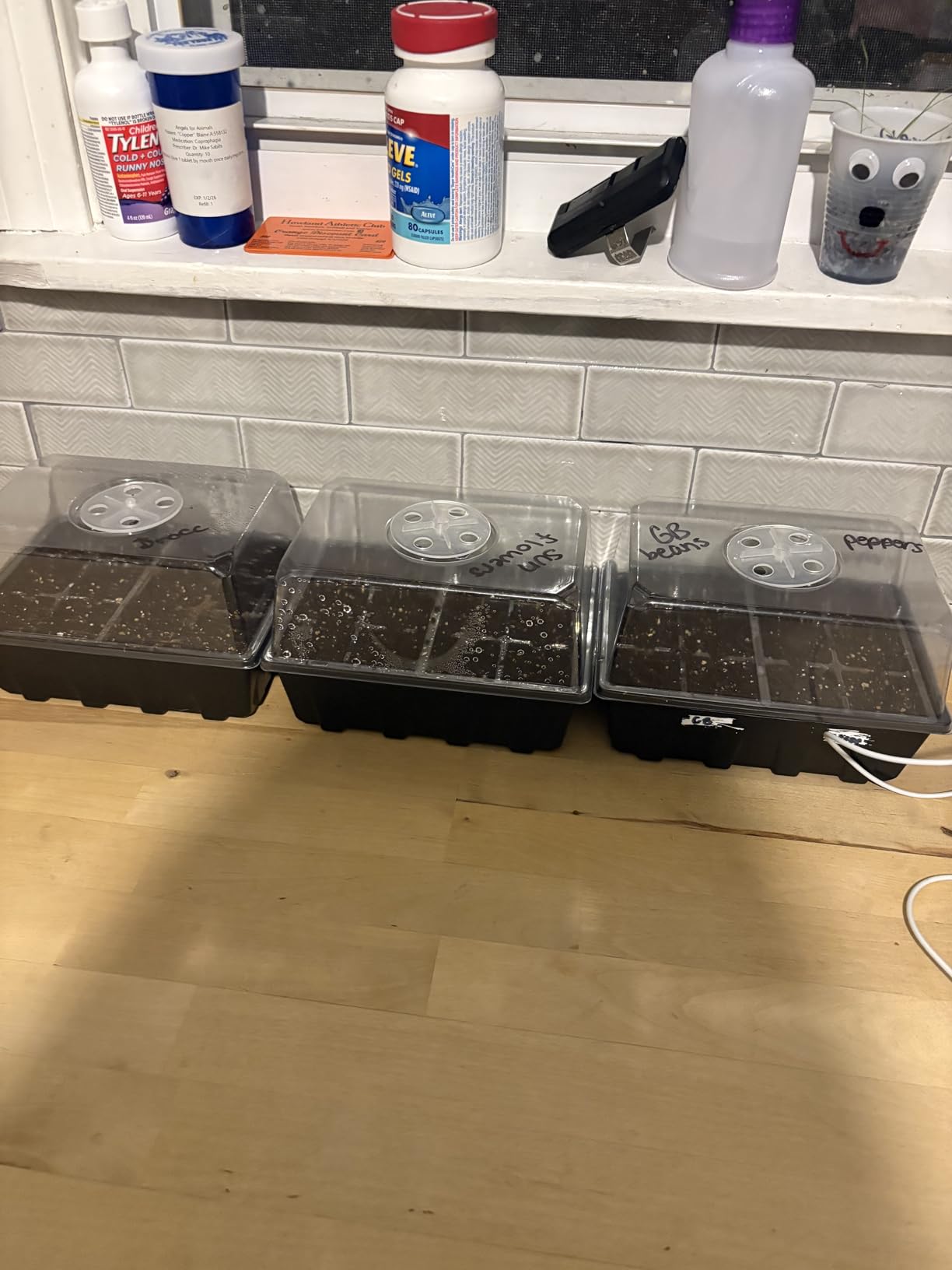 Gardzen 3 Pack Seed Starter Trays with Adjustable Vented Dome 36 Cell customer photo 2