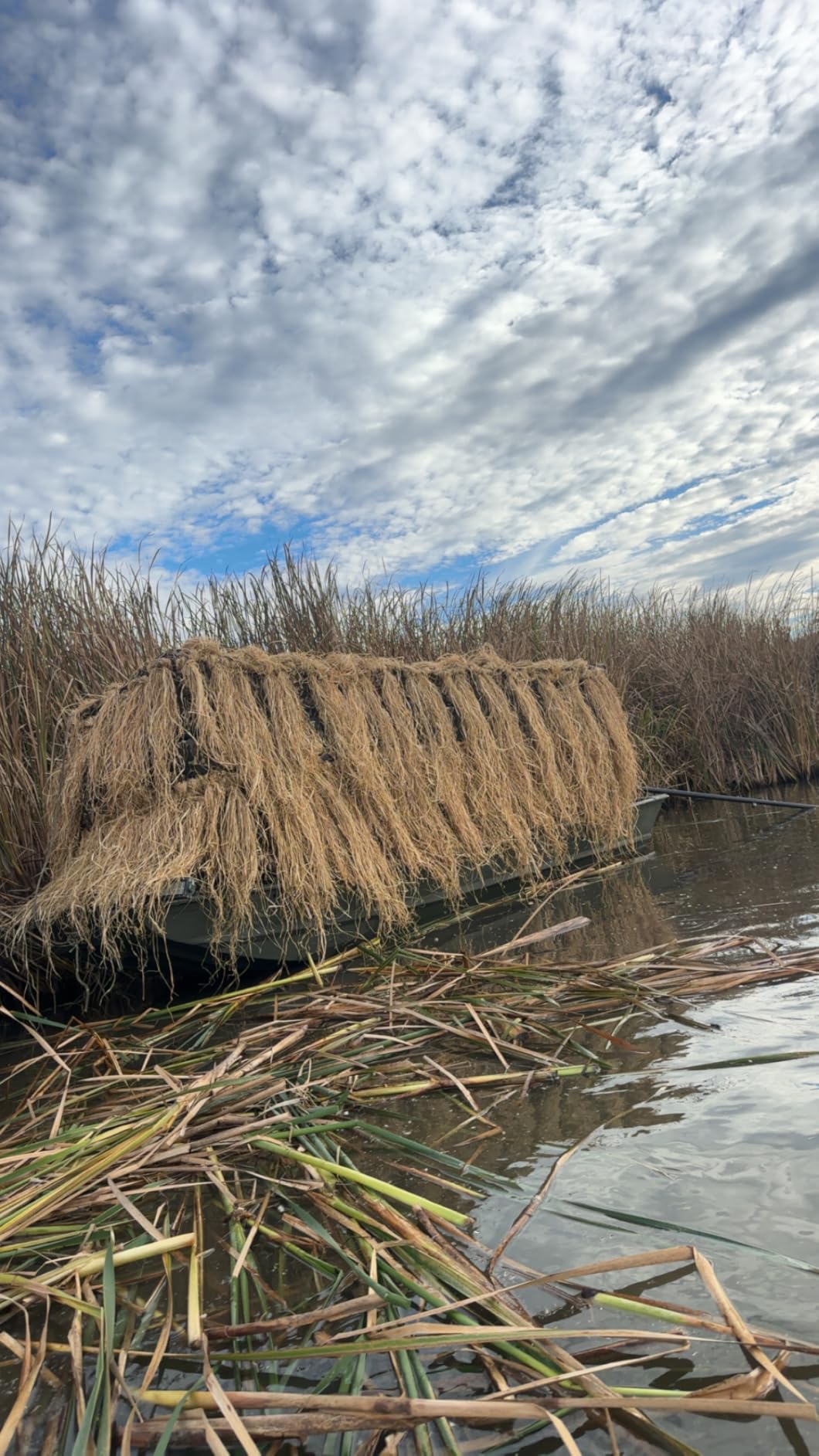 Momarsh Blind Grass Bundle Packs|Perfect for Concealment for Waterfowl Hunting customer photo 1