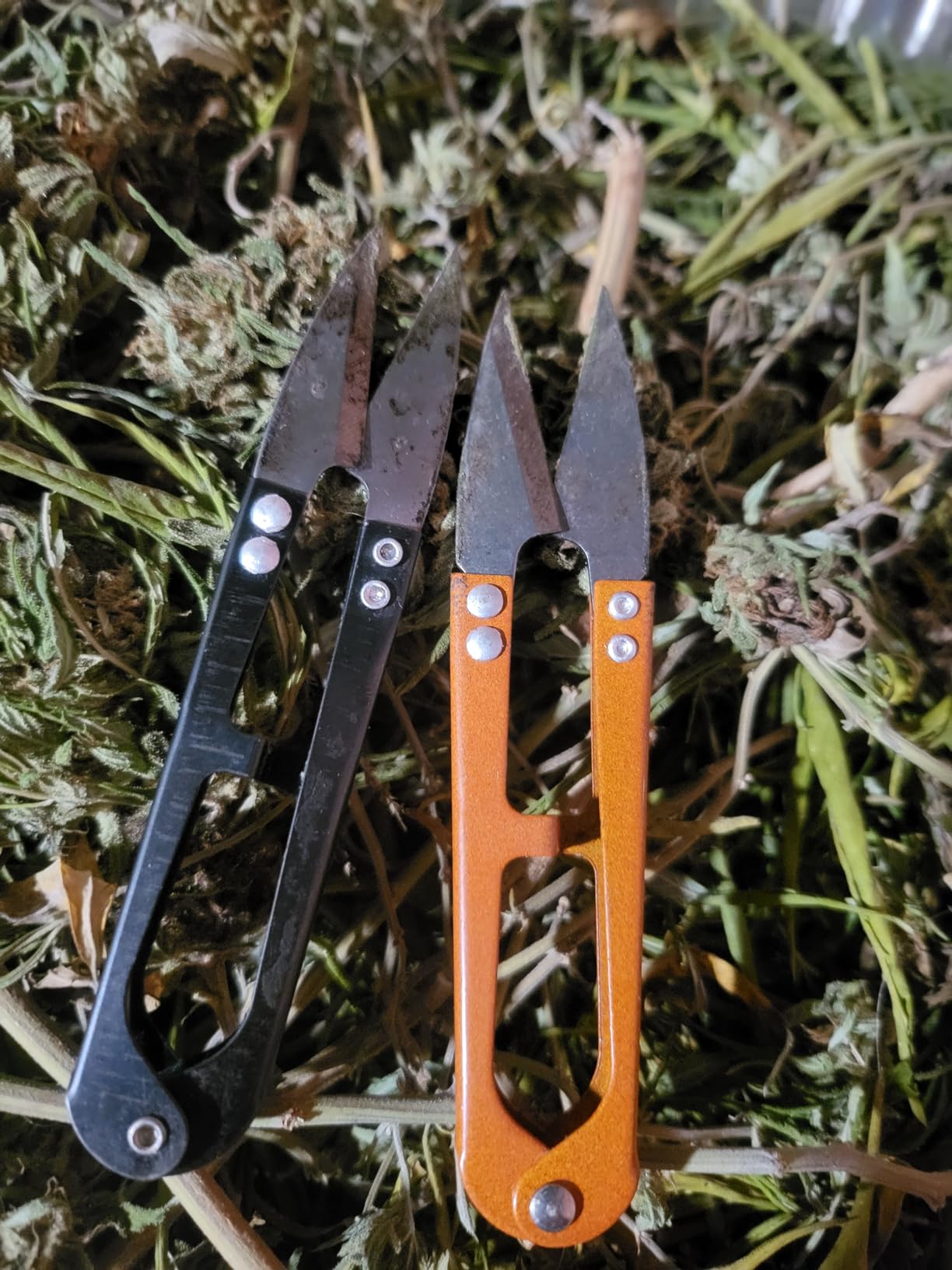 MUUZLL 3 Pack 4.1Inch Bonsai Pruning Scissors, Bud And Leaves Trimmer Yarn Thread Cutter Snips Trimming Supplies, Garden Plants, Gardening Clippers Flower, Stainless Steel Pruners Trimmers customer photo 2
