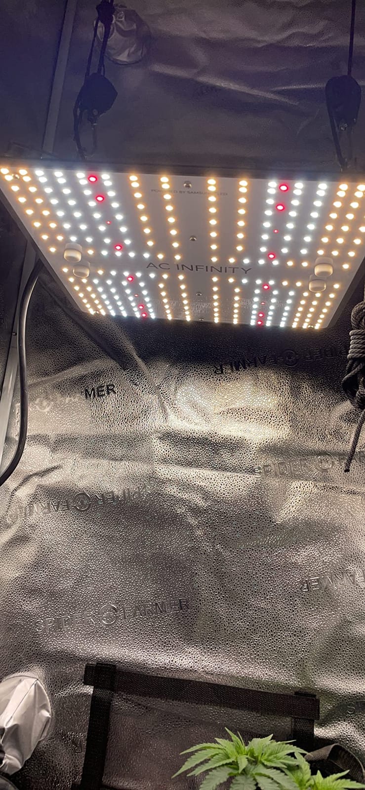 AC Infinity IONBOARD S44, LED Grow Light Board 4x4 with Dimming Control customer photo 2