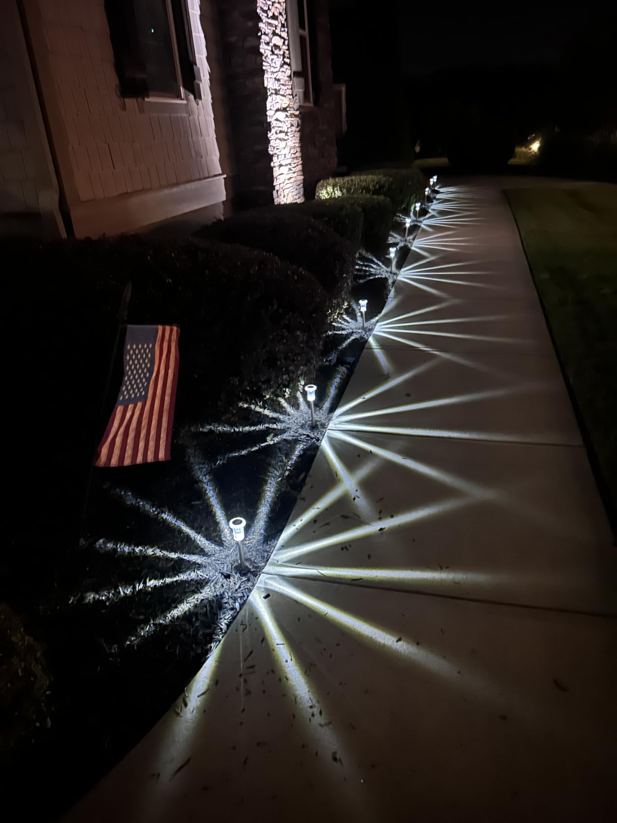 Eyrosa Solar Outdoor Lights, 10 Pack Waterproof Stainless Steel Solar Stake Lights for Pathway Garden Yard Path Walkway Driveway Lawn Patio Outside Decor, Cool White customer photo 2