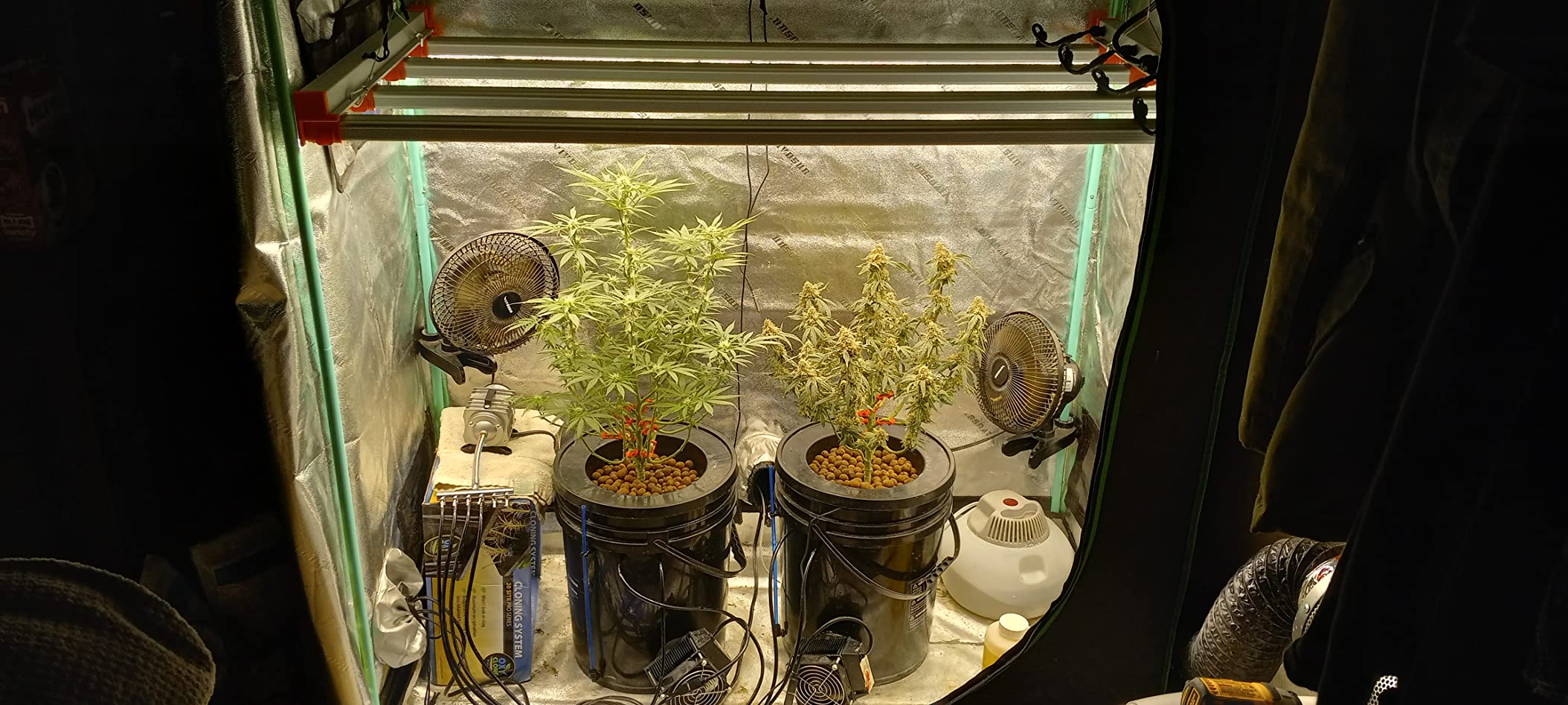 Spider Farmer G4500 LED Grow Light 320W for 2x4 Grow Tents, App‑Controlled customer photo 2