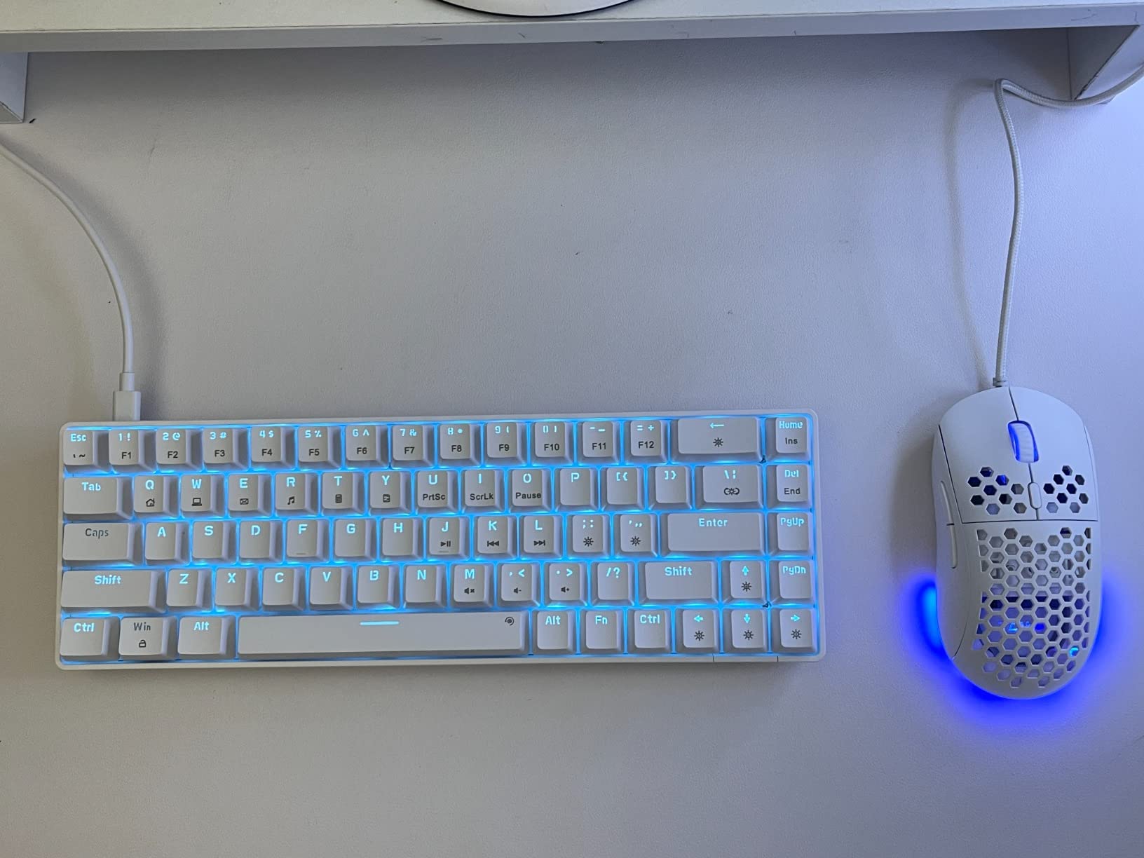 DIERYA T68SE 60% Gaming Mechanical Keyboard,Ultra Compact Mini 68 Key with Blue Switches Wired Keyboard,Anti-Ghosting Keys, for Windows Laptops and PC Gamers,White customer photo 2