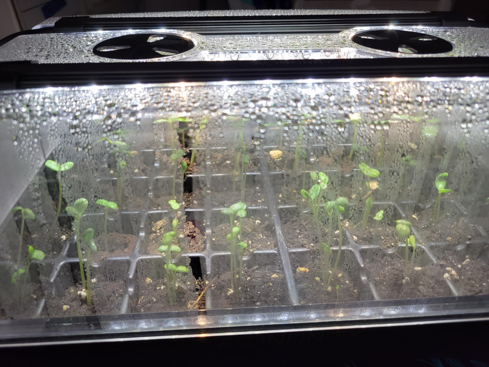 AC Infinity Humidity Dome Kit 5x8 w/ LED Grow Lights & Seedling Heat Mat customer photo 1