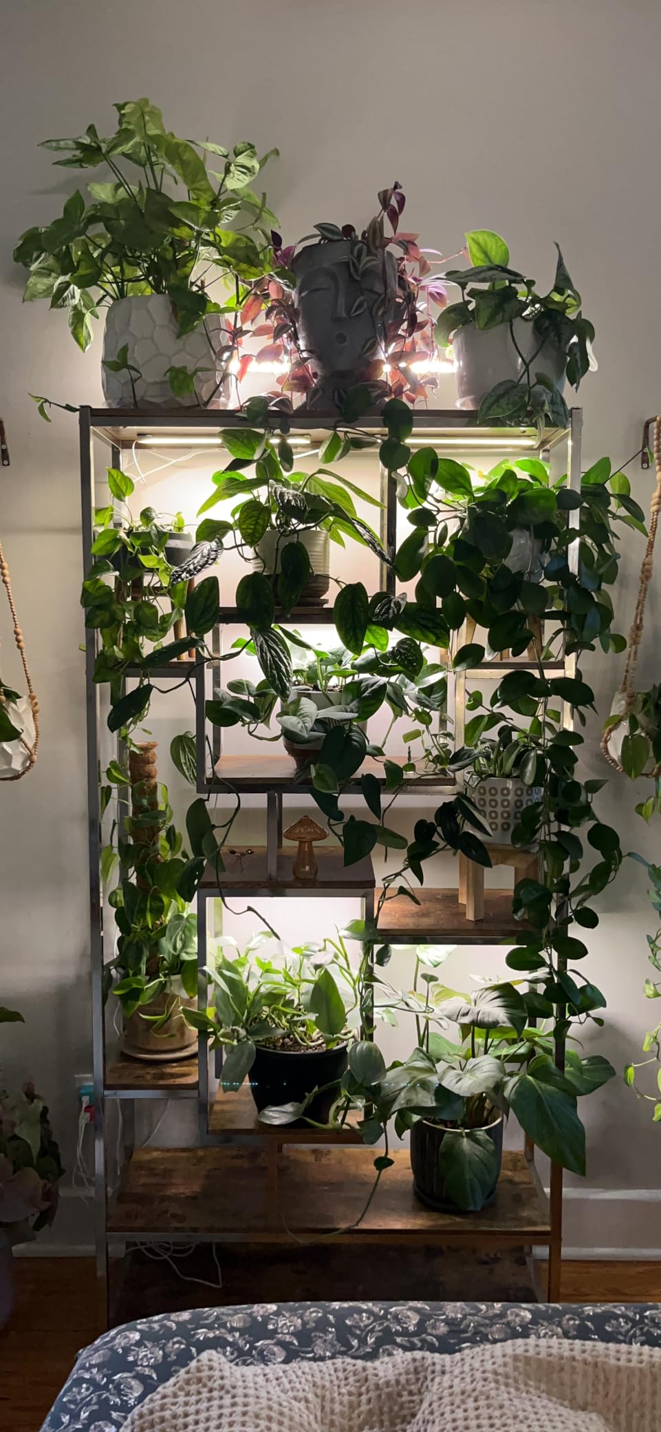 Mosthink Indoor Grow Strip Lights for Under Shelf Cabinet Plants customer photo 1
