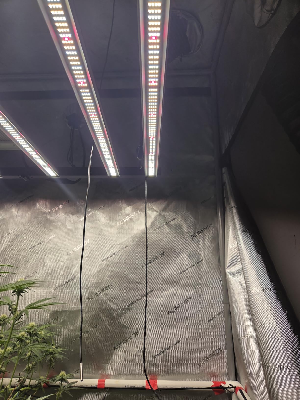 Spider Farmer G5000 LED Grow Light, App‑Controlled, Fits 4x4 Grow Tents customer photo 1