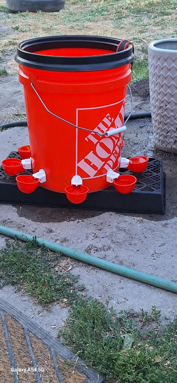 Chicken Waterer Cups (8 Pack) with 3/8