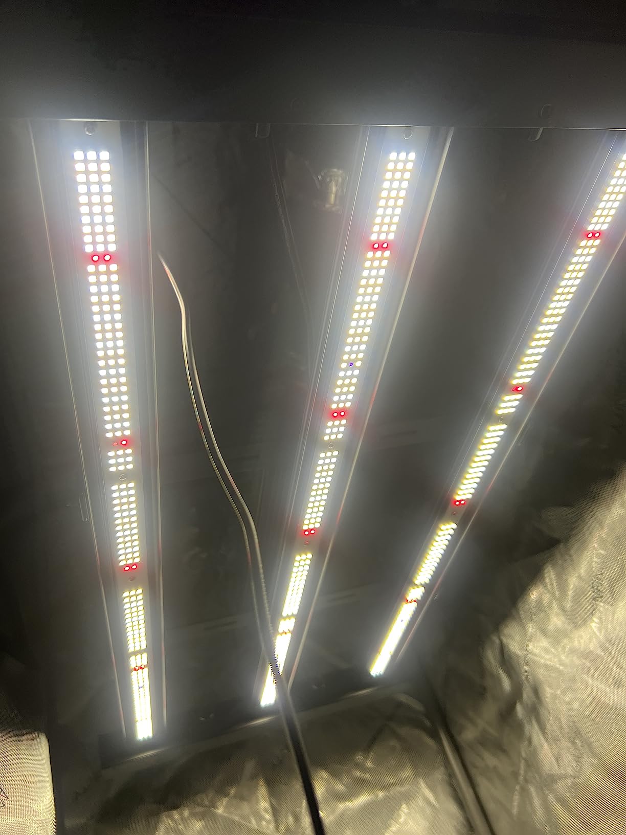 AC Infinity IONFRAME EVO3, 280W Samsung EVO Bar LED Grow Light 2x4 customer photo 2