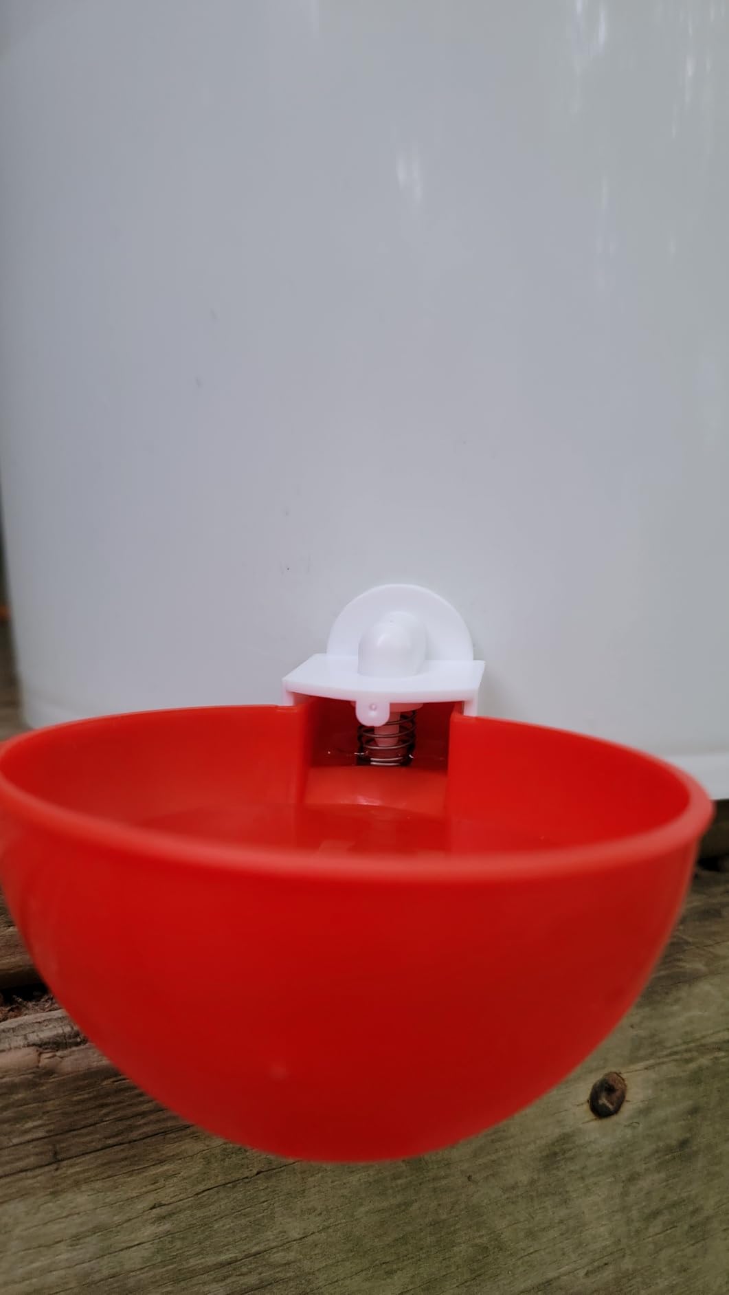Chicken Waterer Cups, 6 Packs Large Chicken Watering Cups, Automatic Chicken Water Cups, Tee Fittings Poultry Feeder Cups Suitable for Chicken, Duck, Goose, Turkey with Mounting Hole Opener customer photo 1