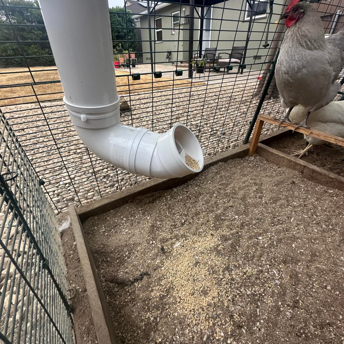 MEWTOGO No Waste Large Capacity Automatic Chicken Feeder, 2 Set customer photo 1