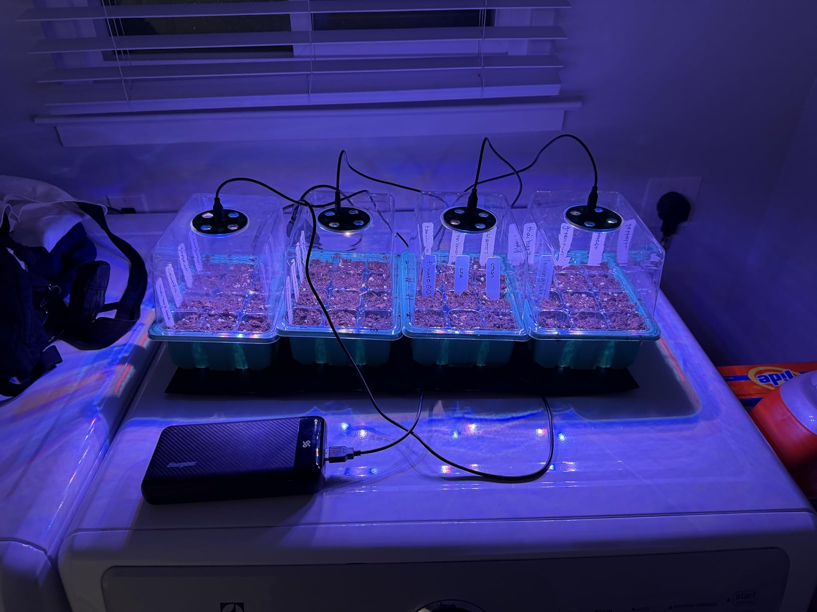 4-Pack Seed Starter Tray with Grow Light and Heat Mat, 48 Cells Seed Starter Kit with Adjustable Humidity Dome and Base, Germination Kit for Seed Growing Plant Propagation customer photo 2