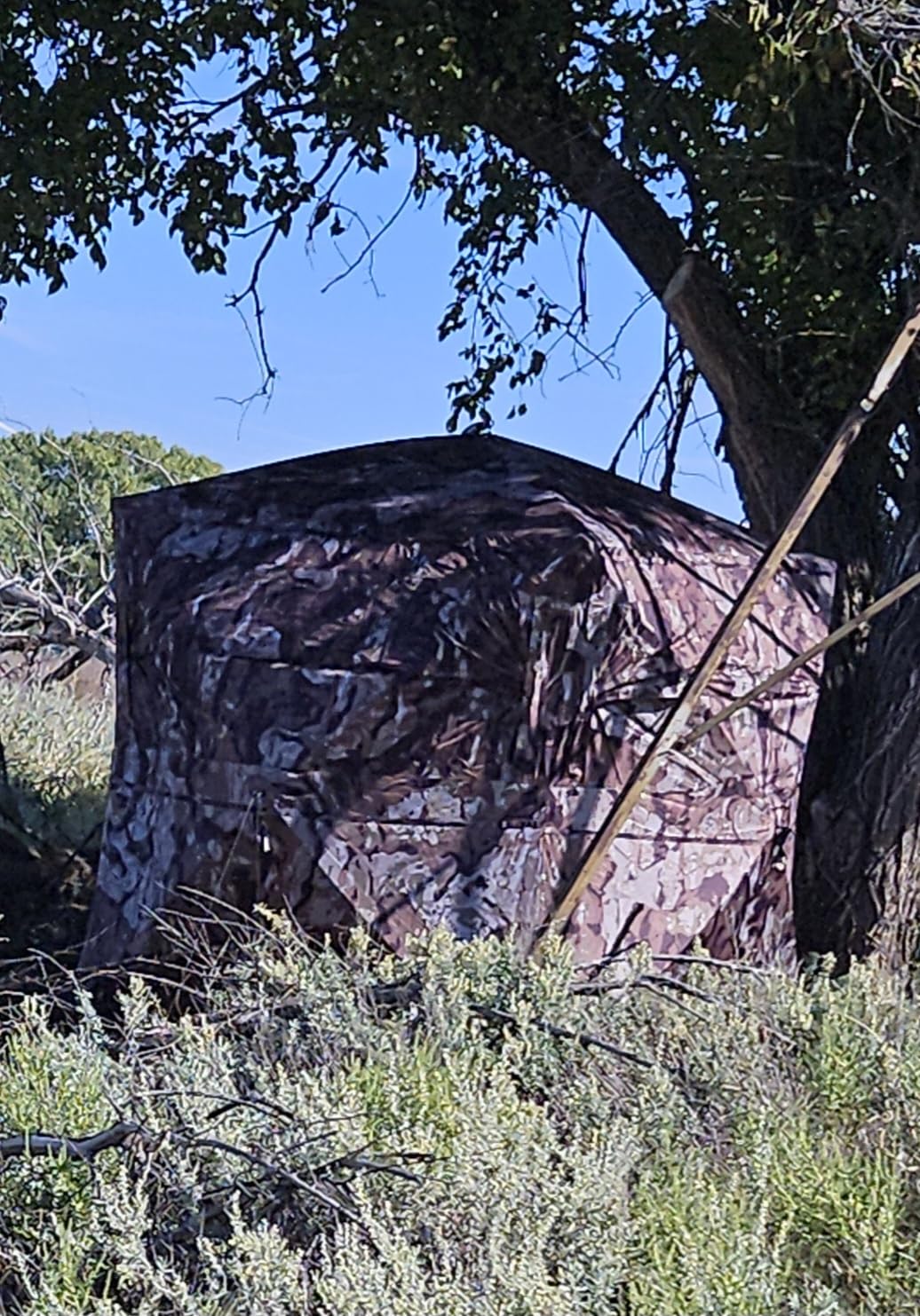 Barronett Blinds® Ace 250, Portable Hunting Blind, Large Pop-Up Hub Blind, Panoramic Shooting Windows, Lightweight, Crater™ Harvest, 75” x 75” x 67”, AC250CH customer photo 1
