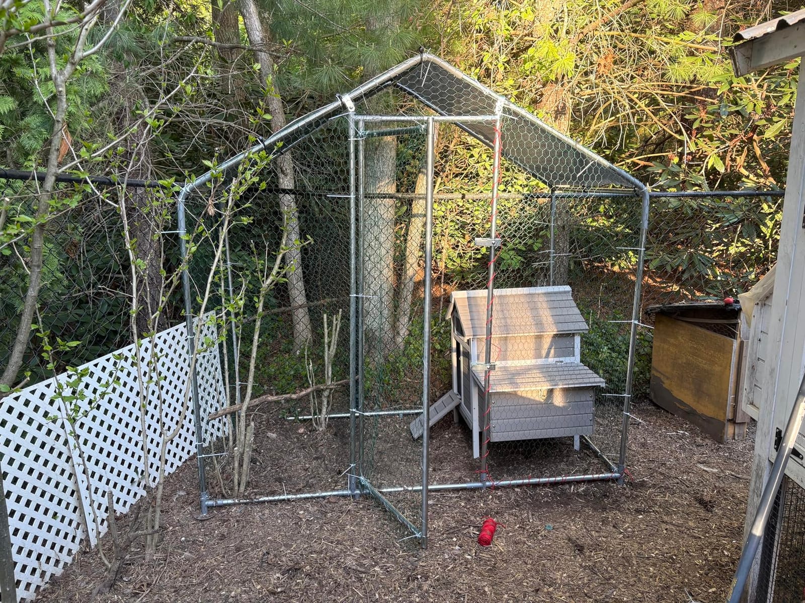 Gowoodhut Chicken Coop Rabbit Hutch with Removable Trays,Raised Floor Hen House with Nesting Box,Wooden Outdoor Poultry Cage Pet House with Ramp Run Hen Cage for Garden Backyard(Grey) customer photo 1