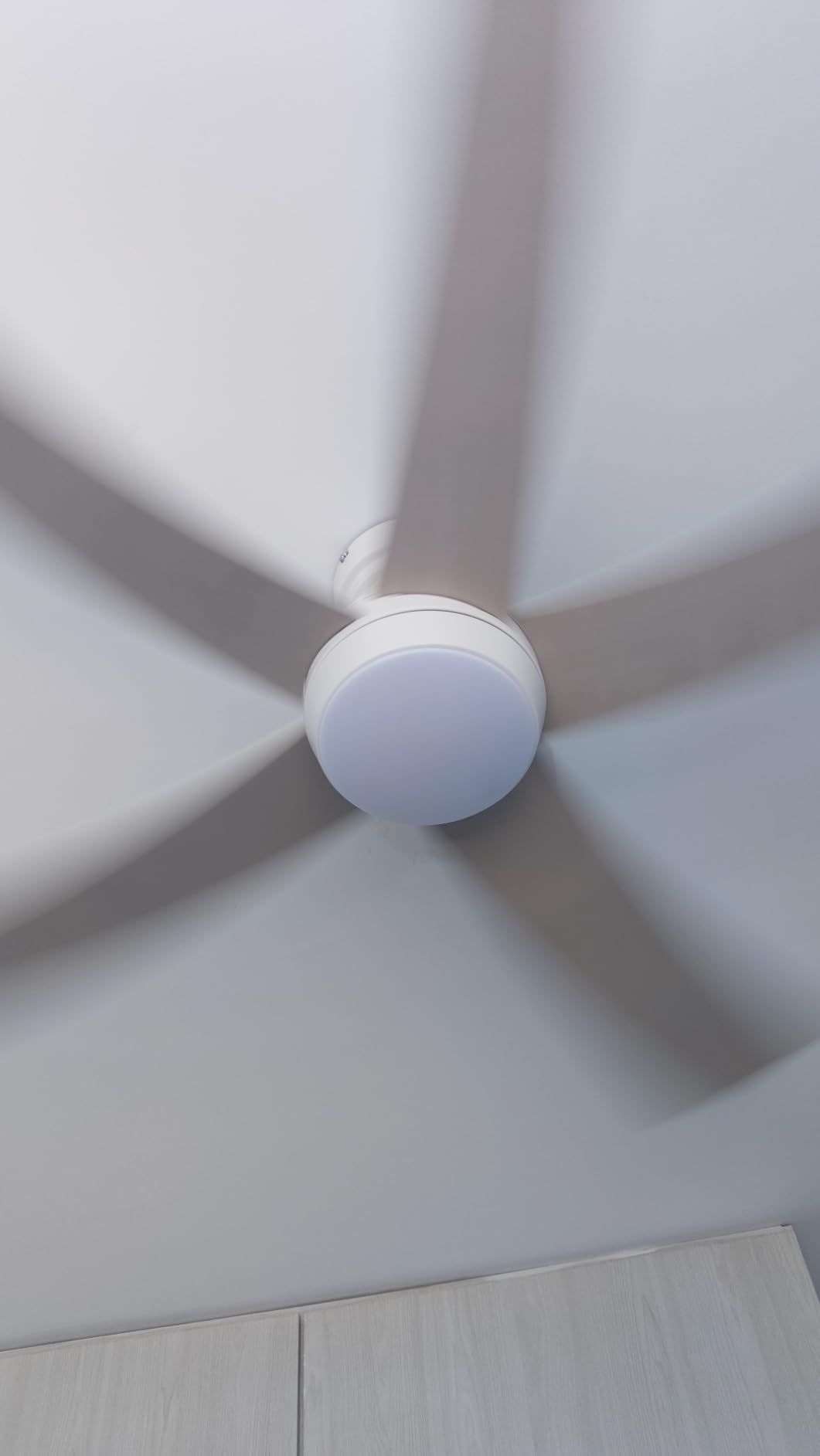 TCL 52