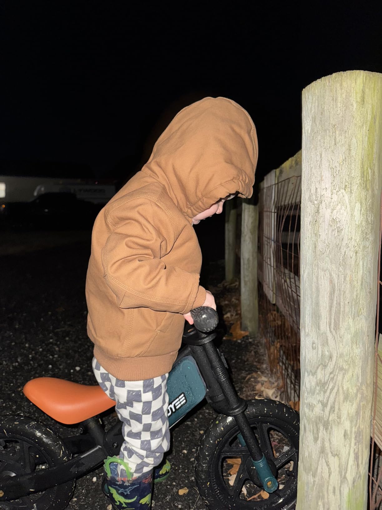 RIDYEE Toddler Balance Bike 2 Year Old, Kids Balance Bike Ages 2-5 customer photo 1